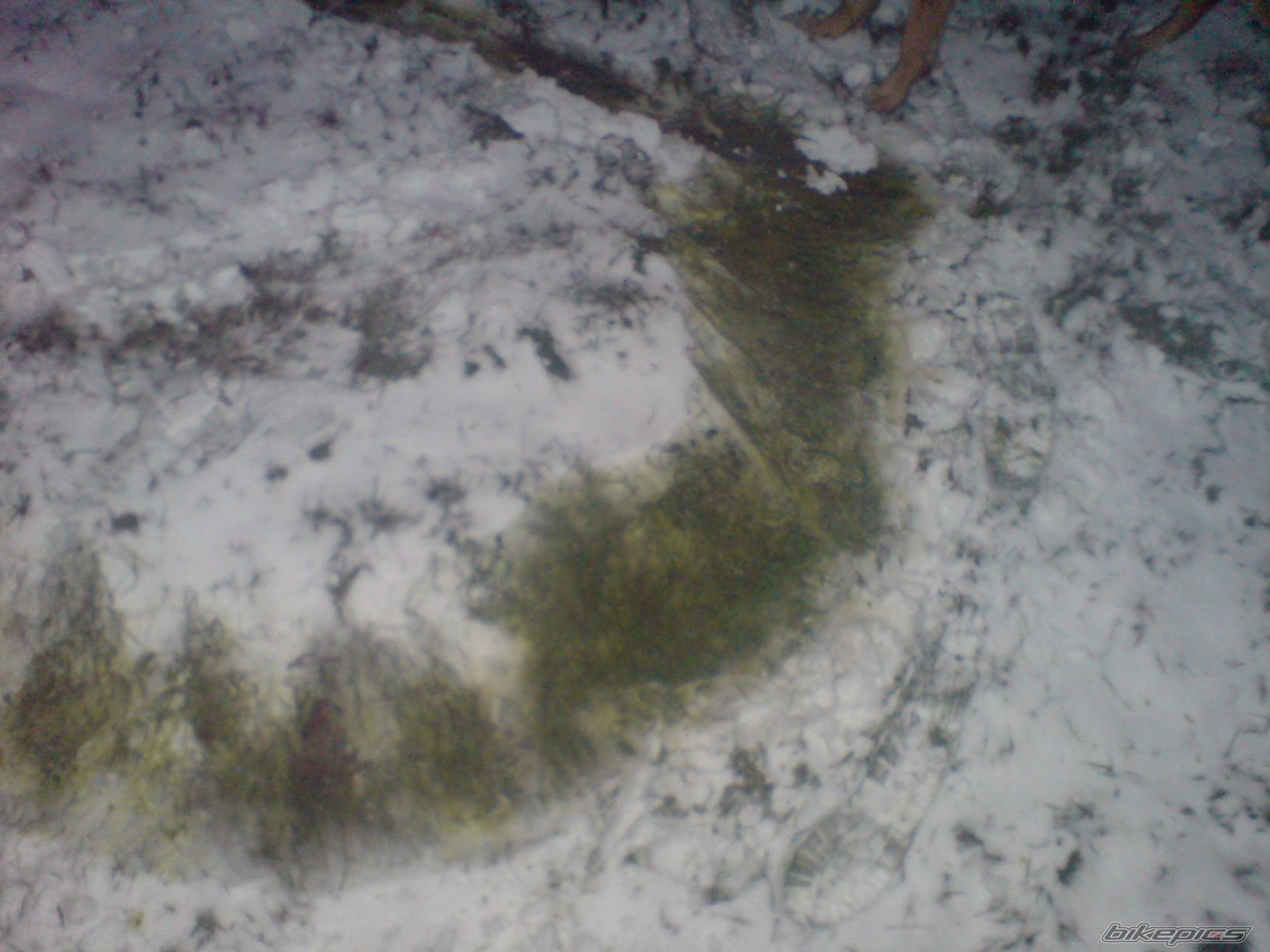 Photo 1559453