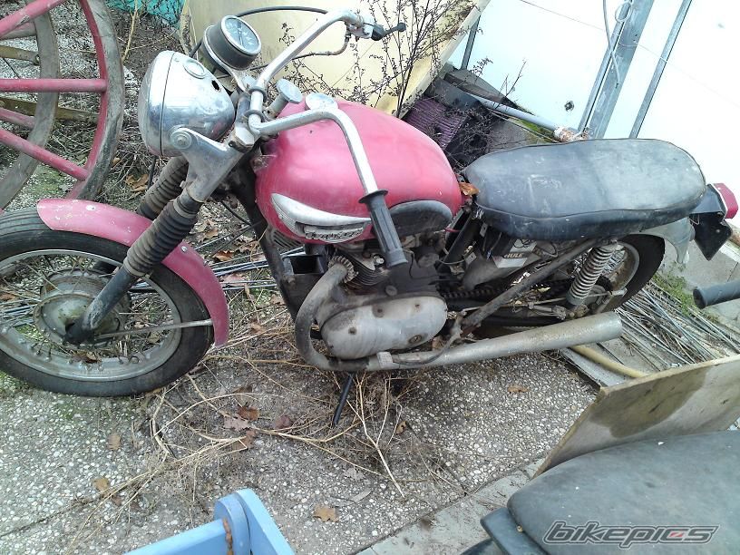 Bike Photo 1559501