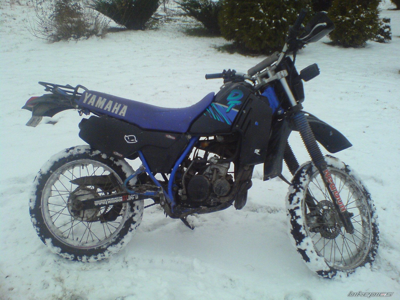 Photo 1559510