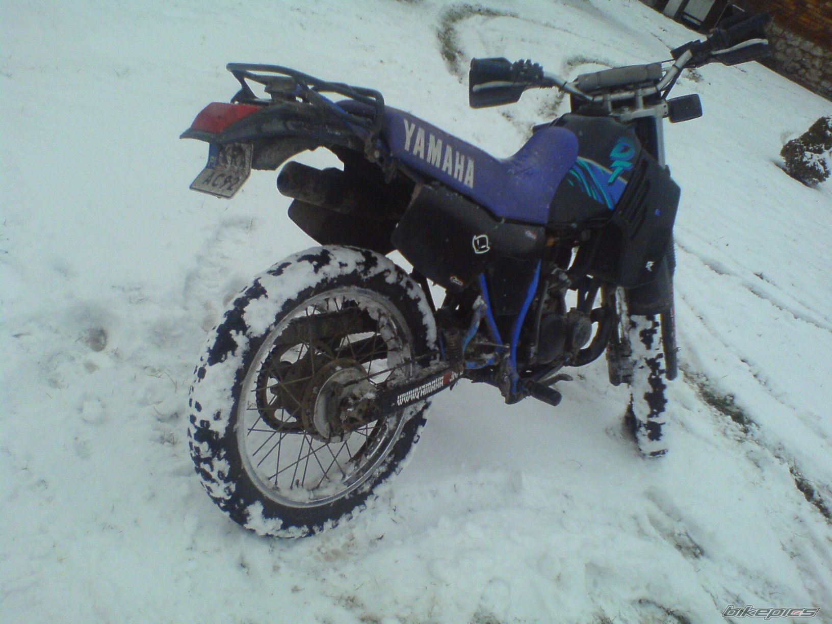Photo 1559511