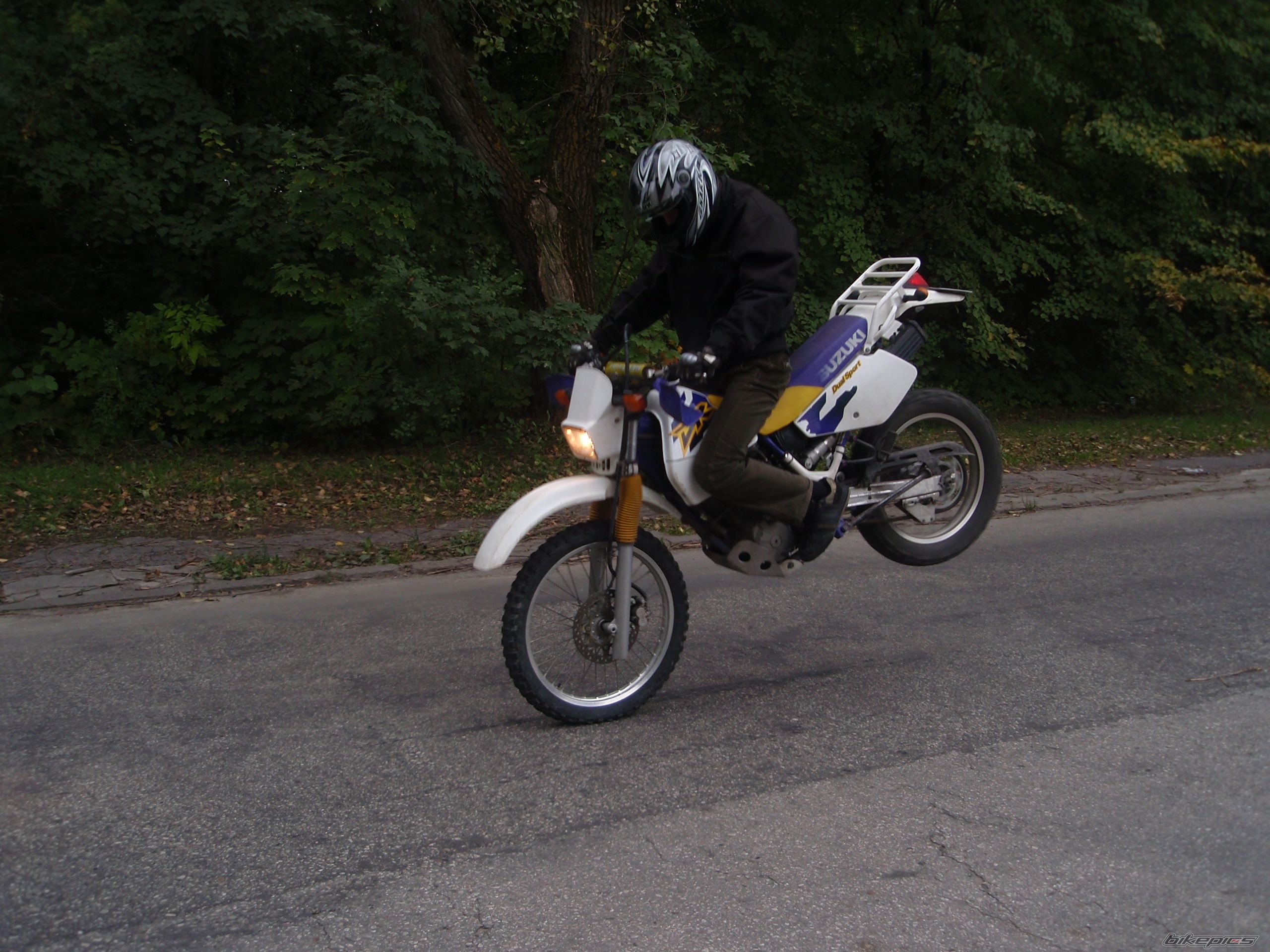 Photo 1559514