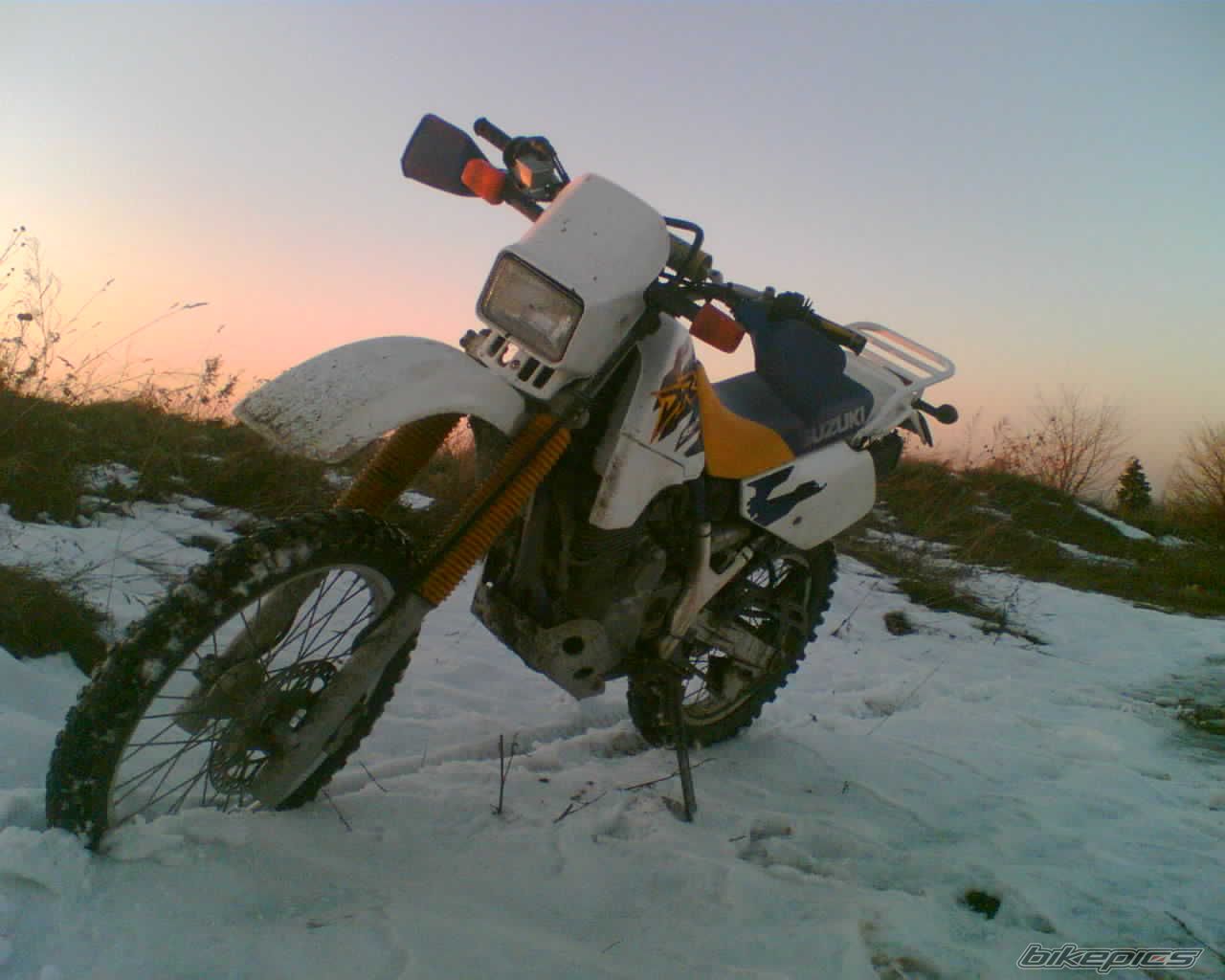 Photo 1559515