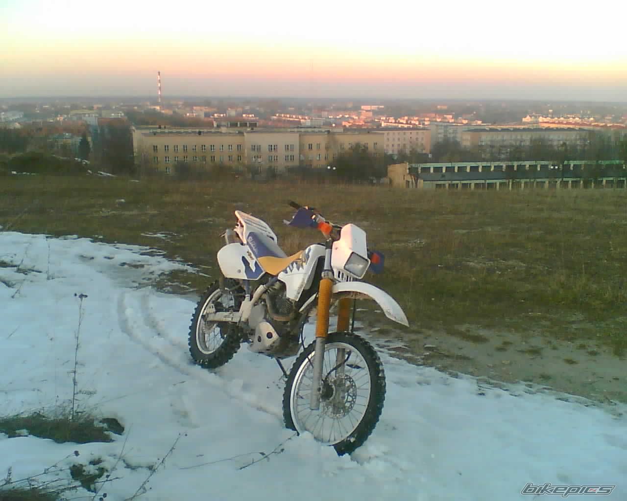 Photo 1559519