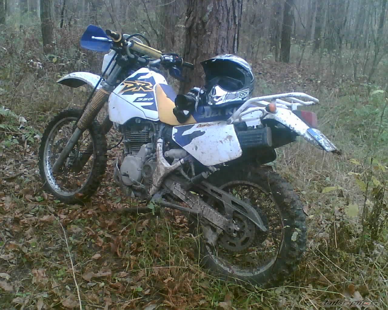 Photo 1559537