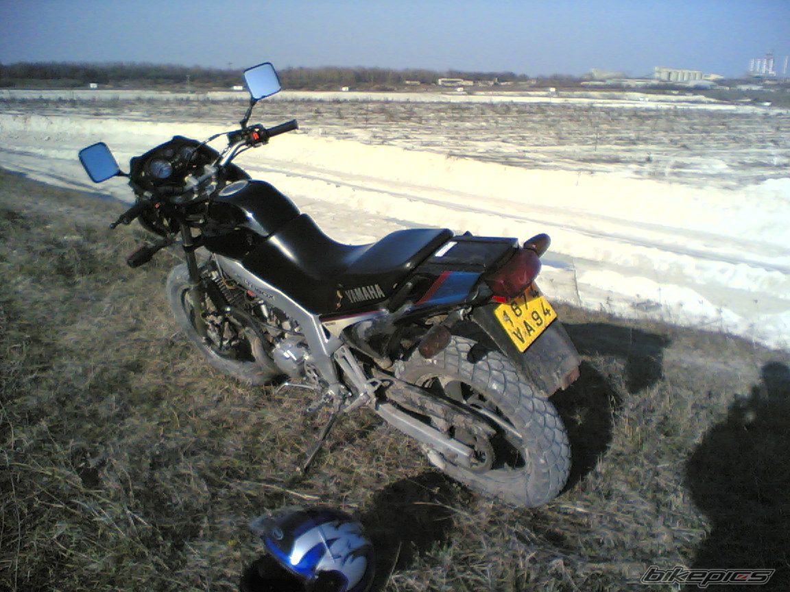 Photo 1559541
