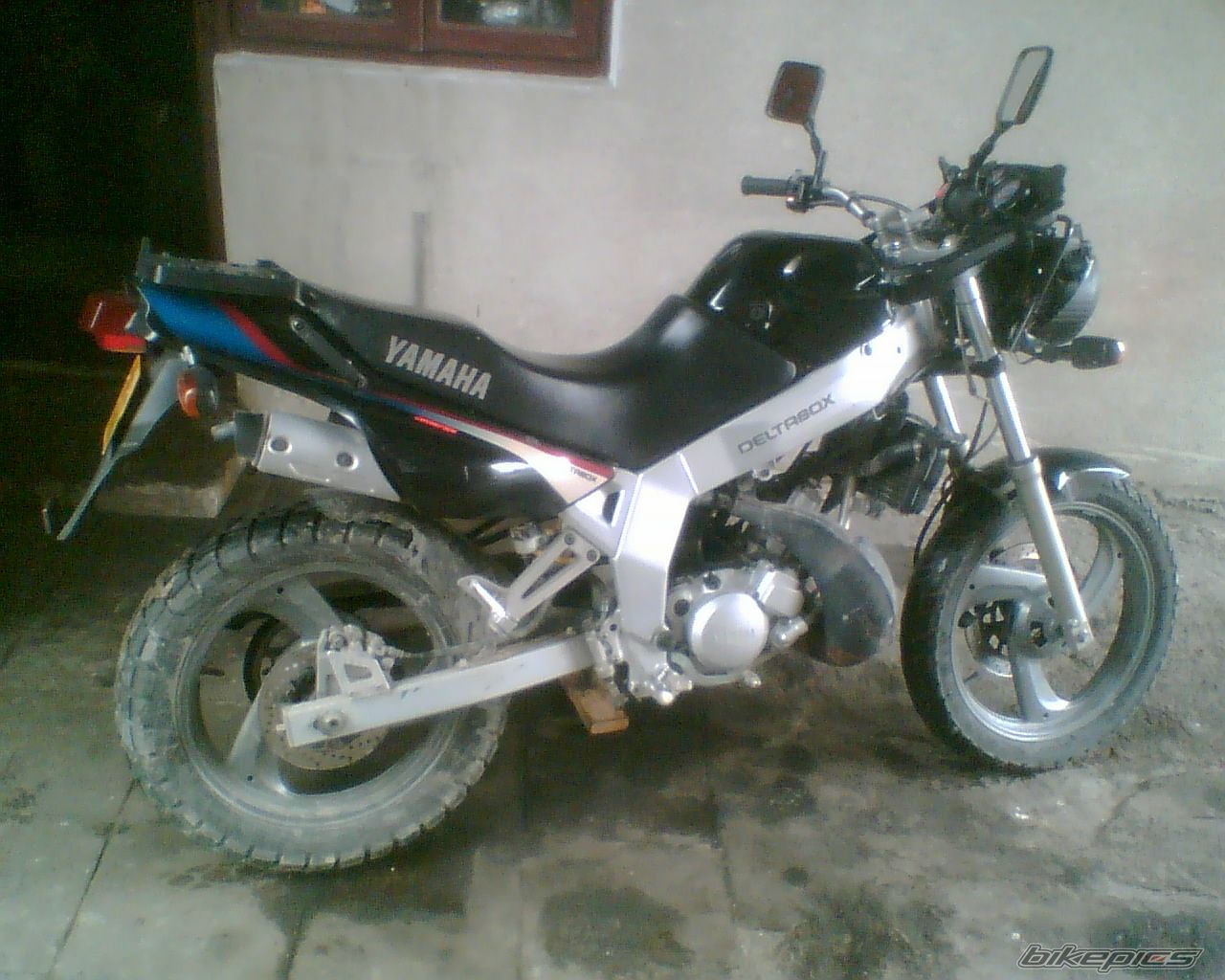 Photo 1559545