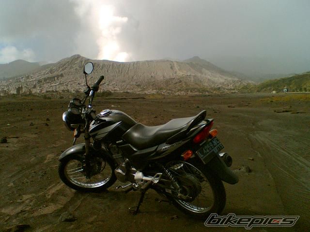 Photo 1559559