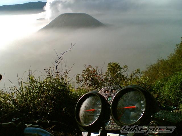 Photo 1559571