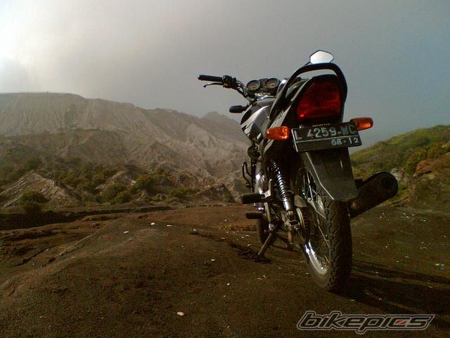 Photo 1559575