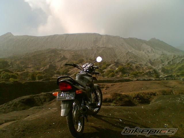 Photo 1559578