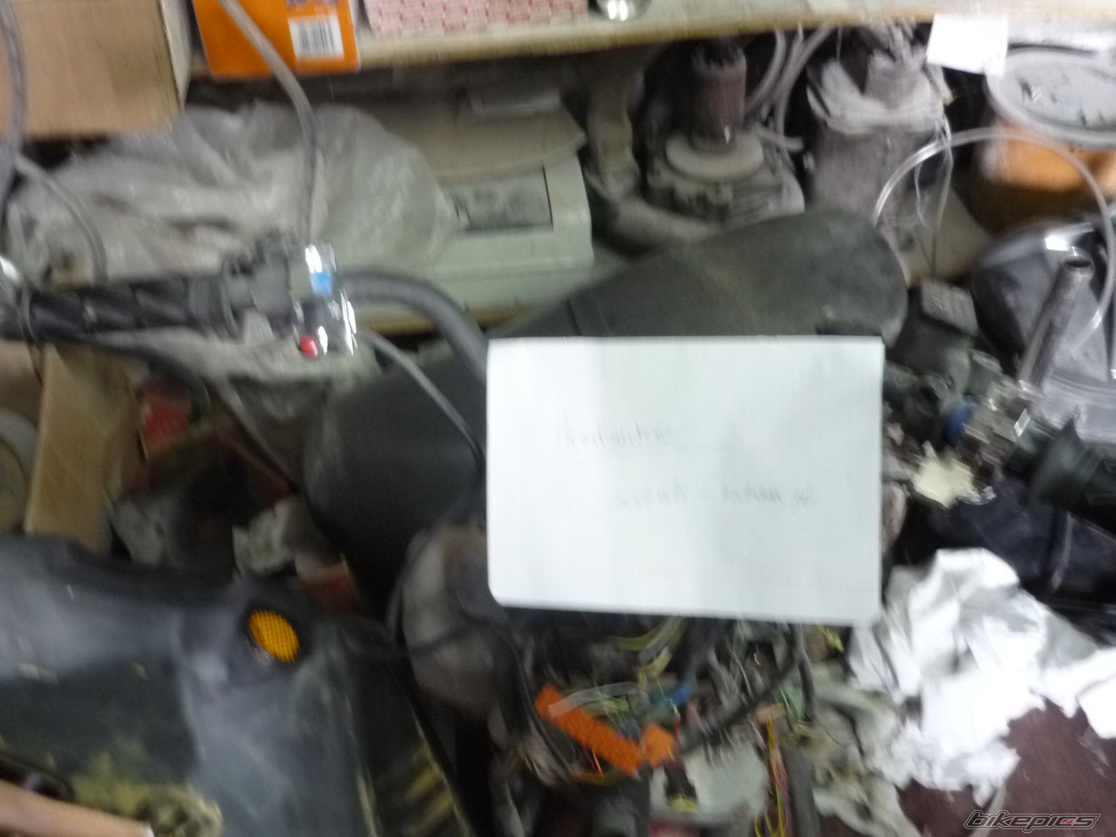 Photo 1559602