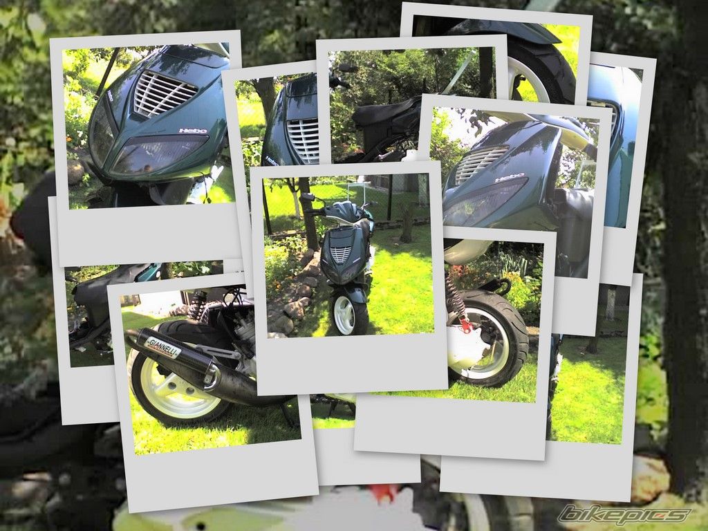 Photo 1559621