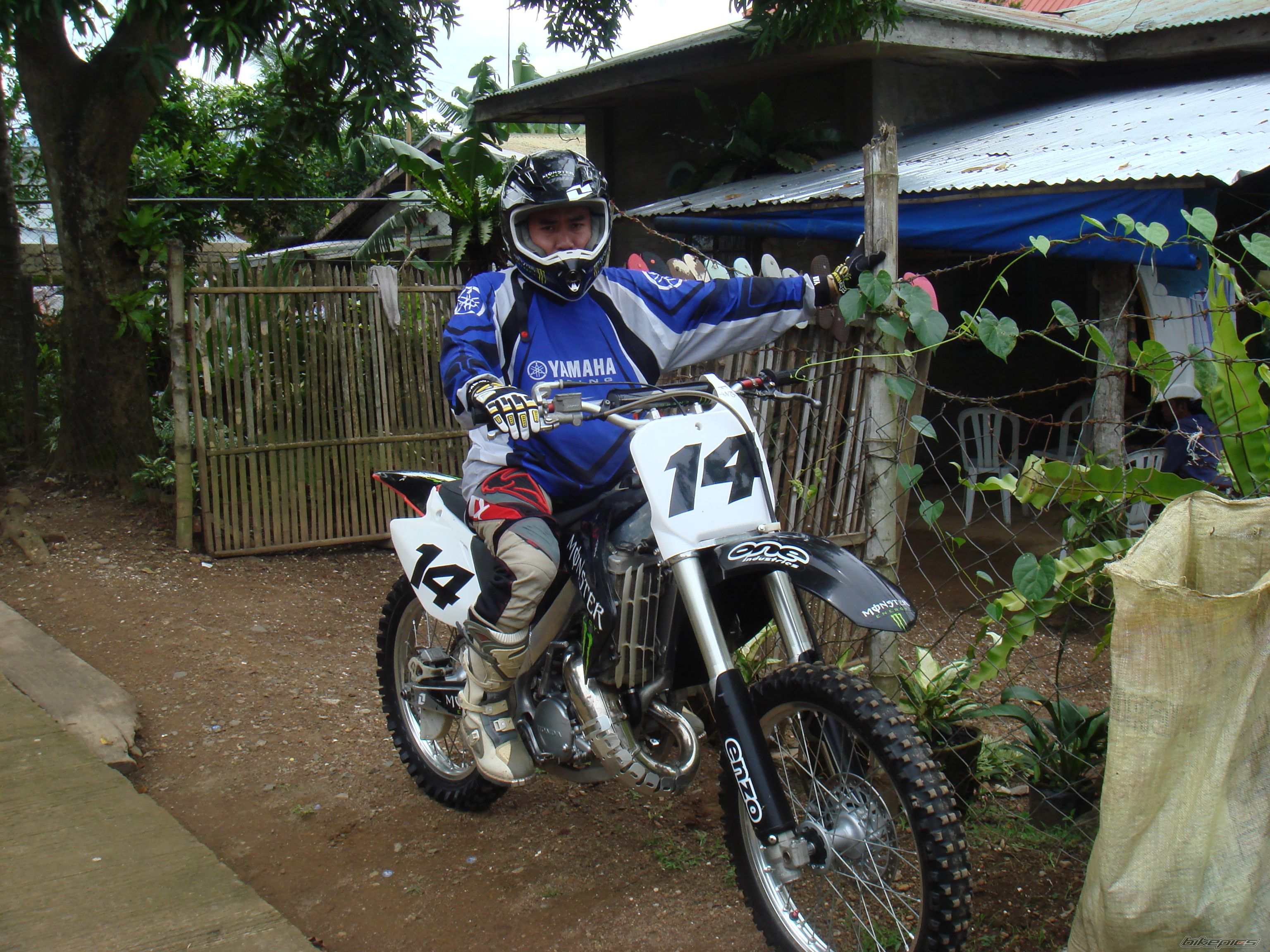 Photo 1559642