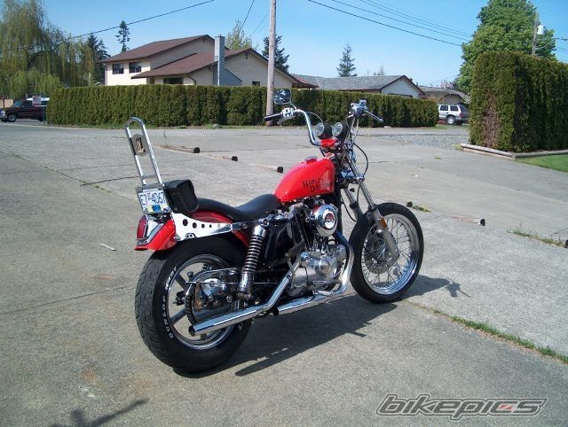 Photo 1559749