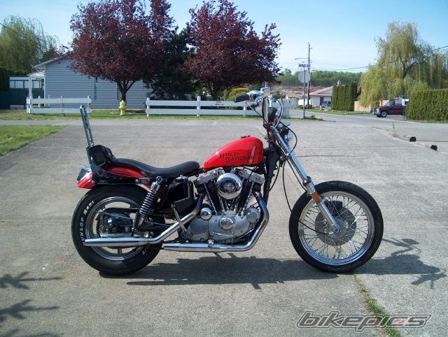 Photo 1559750