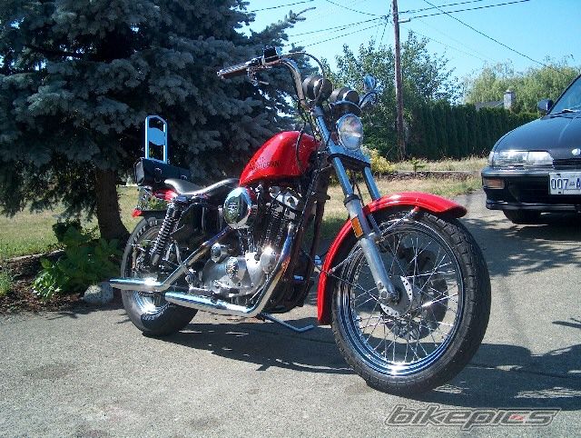 Photo 1559753