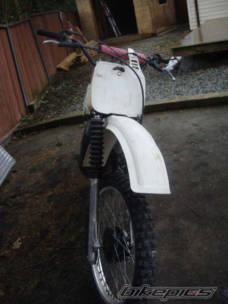 Photo 1559762
