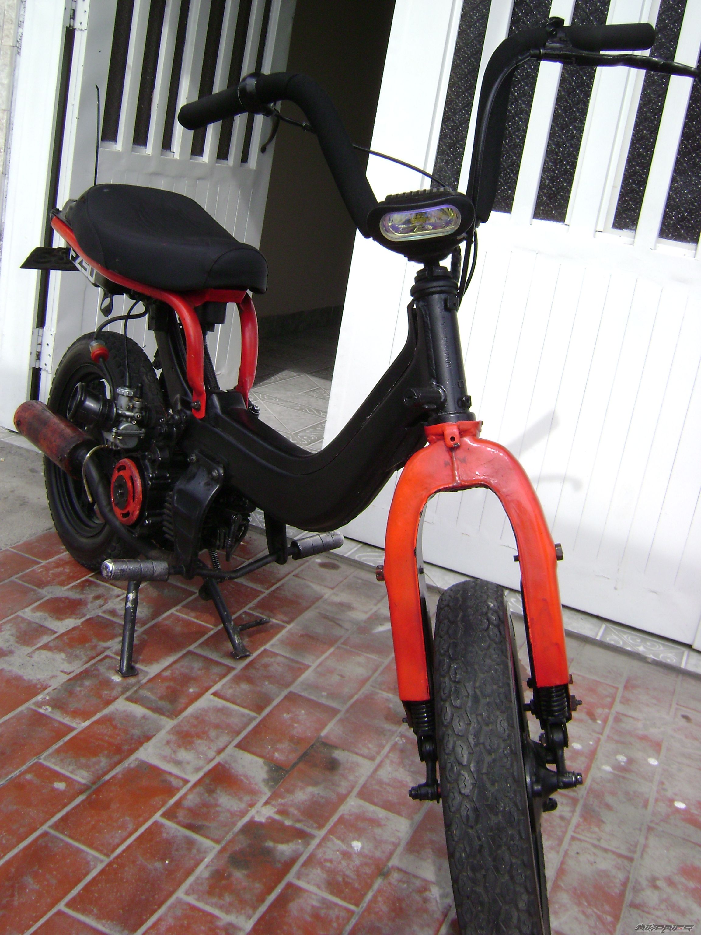 Photo 1559788