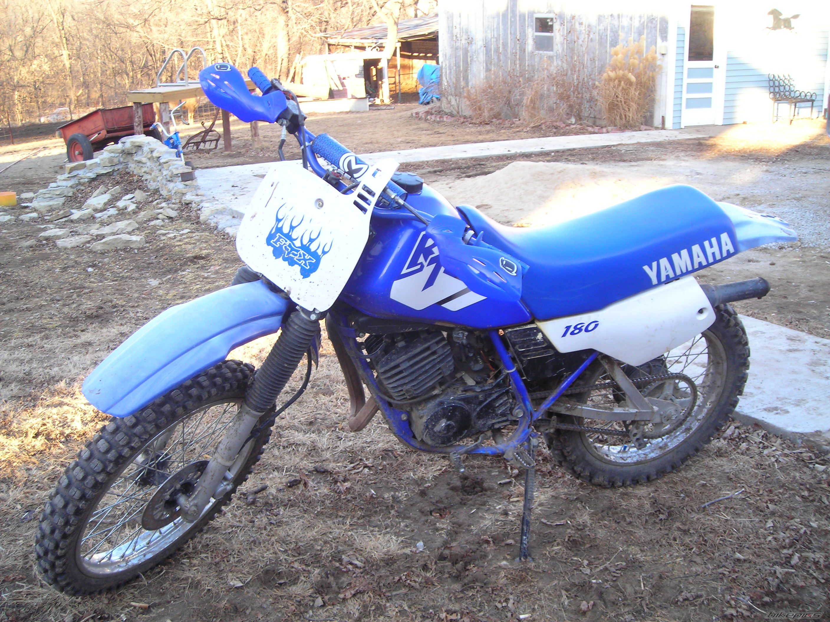 Photo 1559881