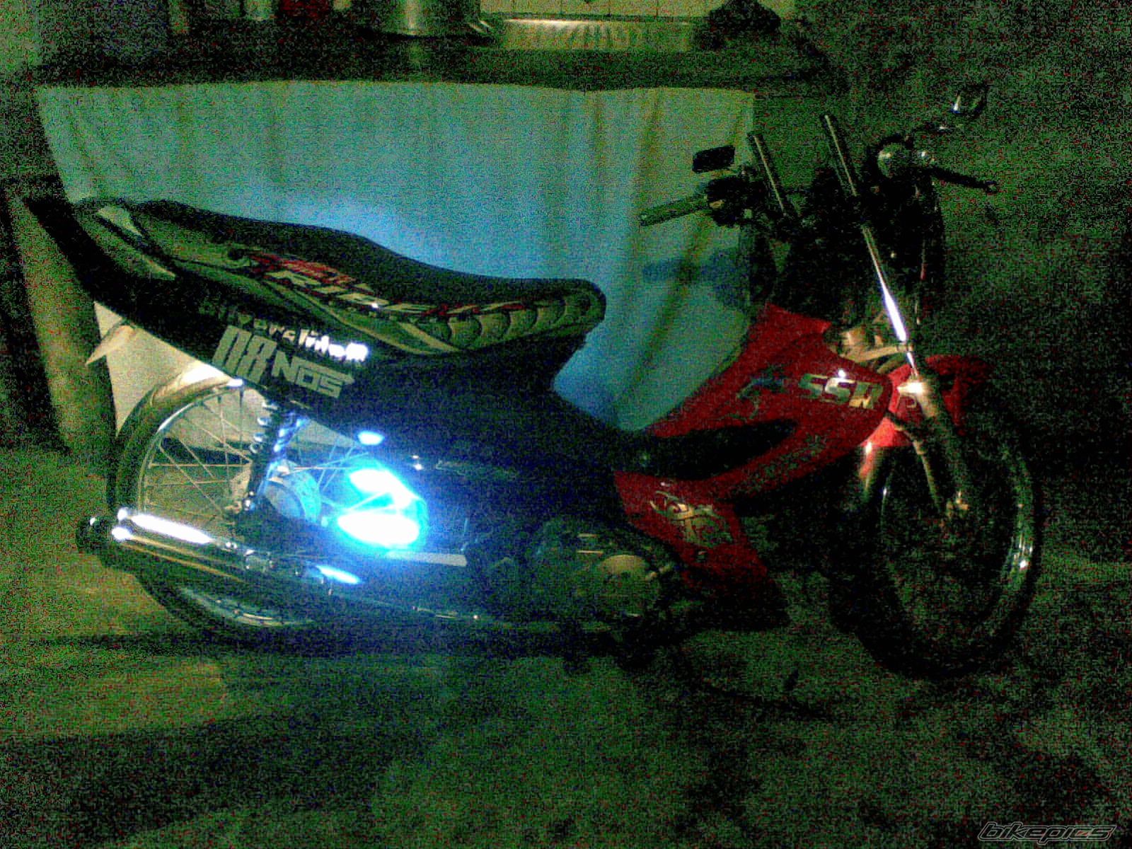 Photo 1559939