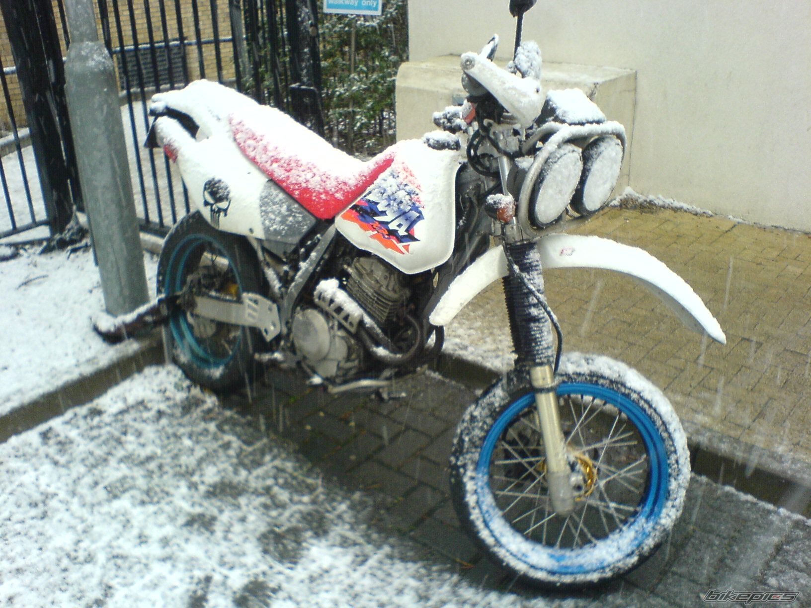 Photo 1560164