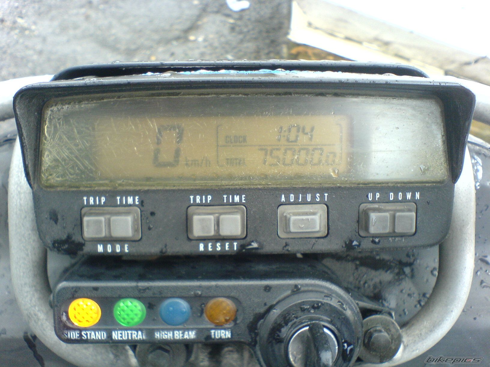 Photo 1560165