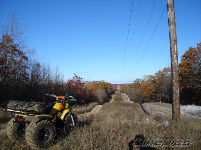 Photo 1560204