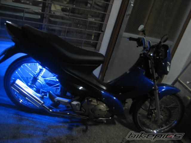 Photo 1560220