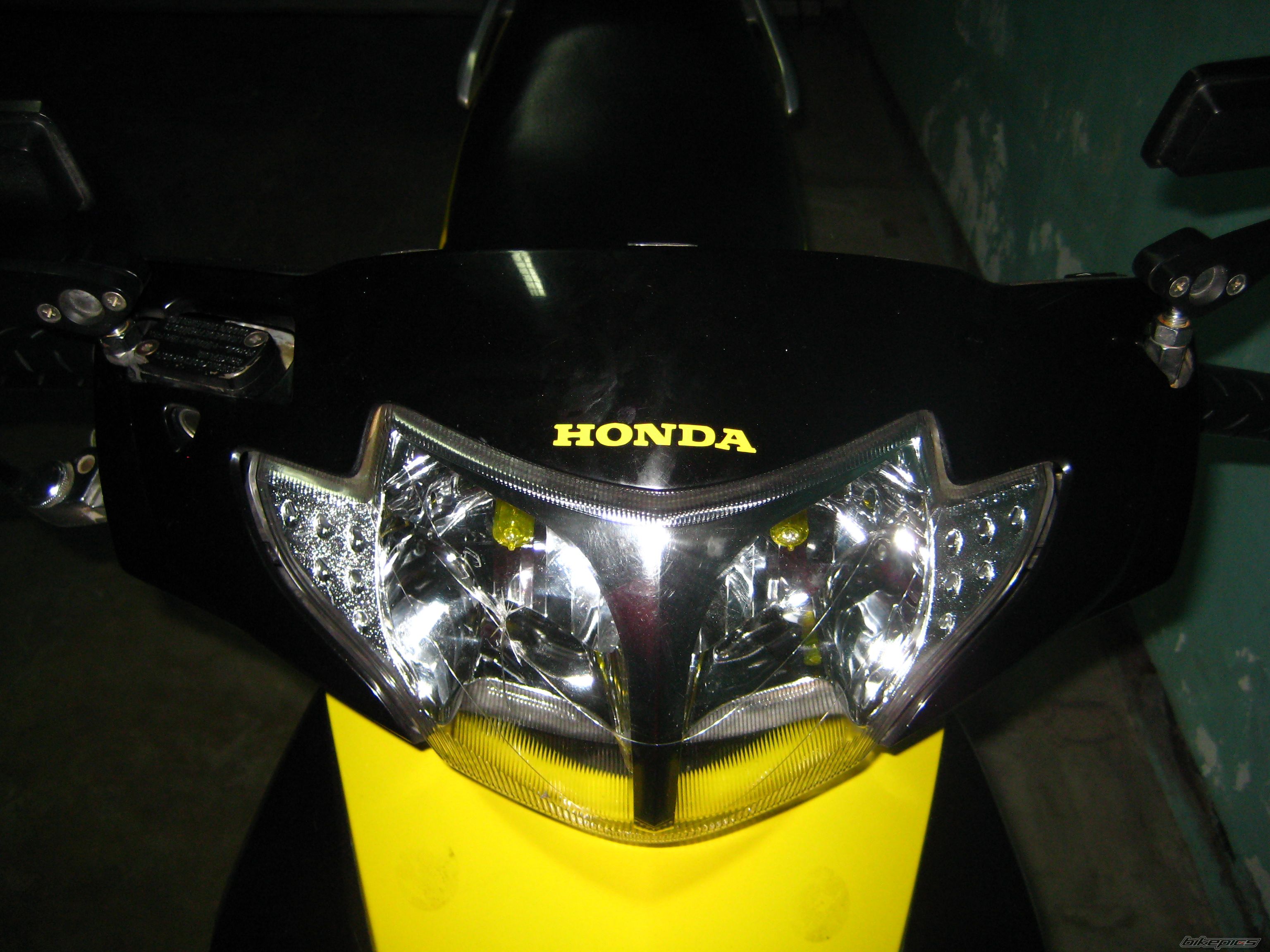 Photo 1560231