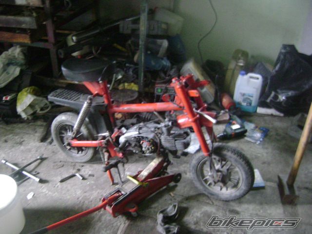 Photo 1560251