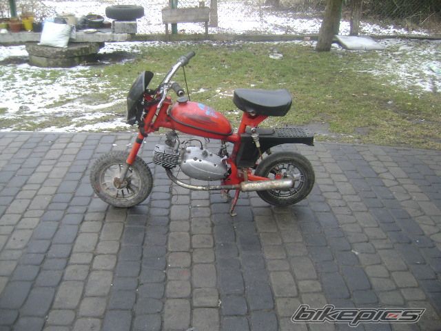 Photo 1560255