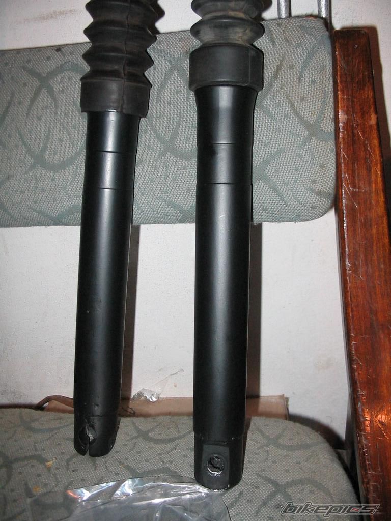 Photo 1560256