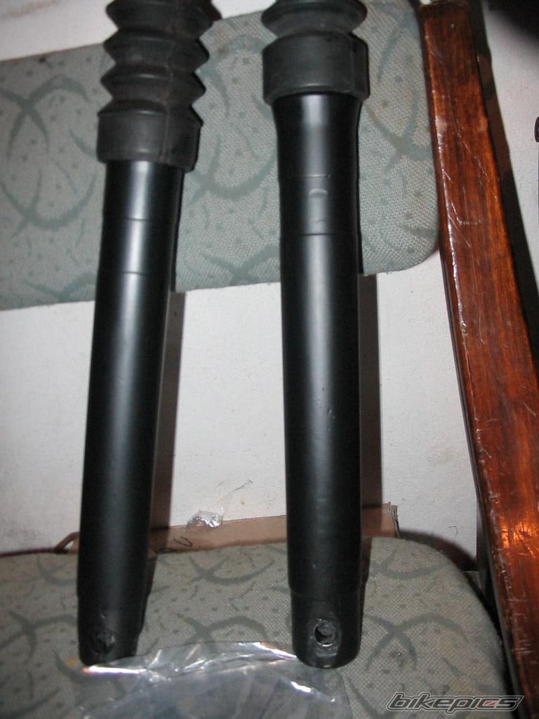 Photo 1560257