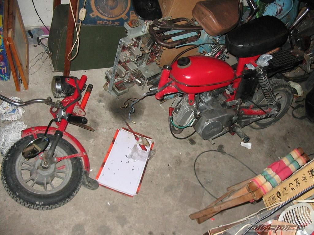 Photo 1560260