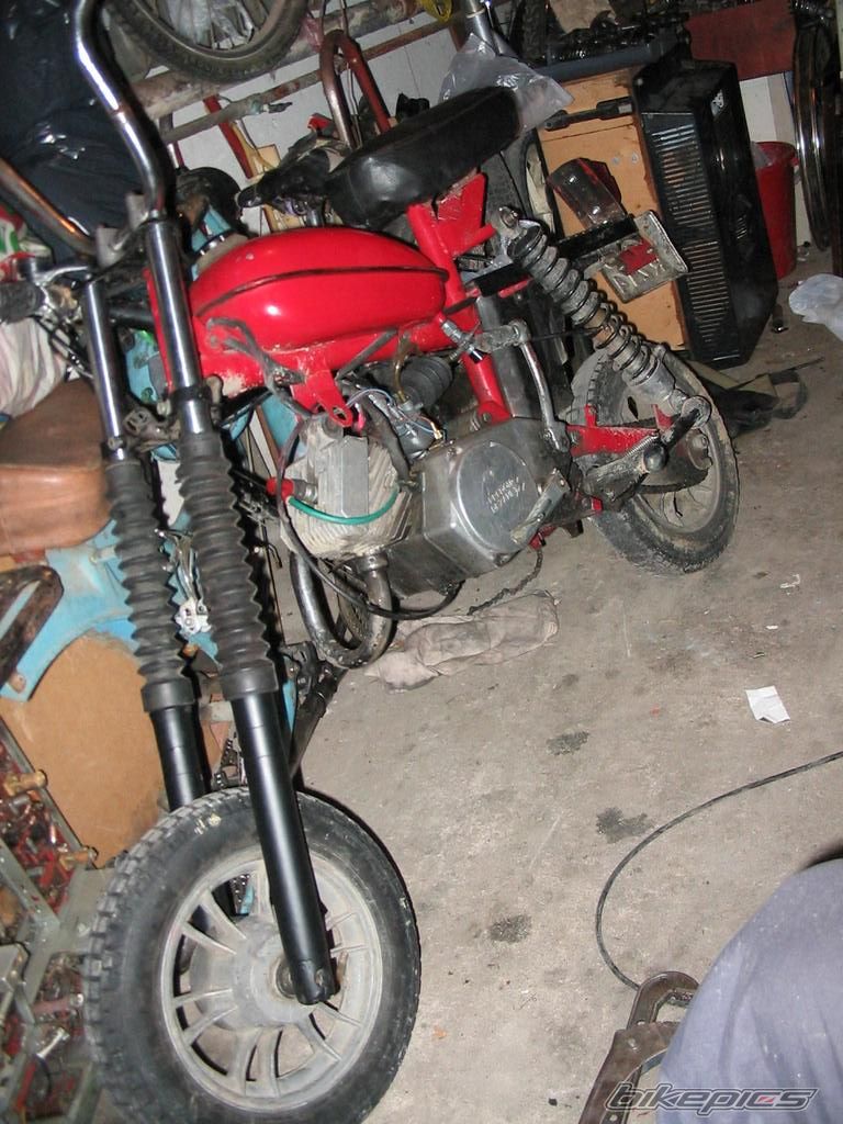 Photo 1560269