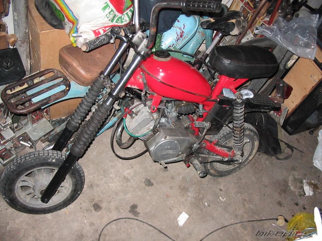 Photo 1560271