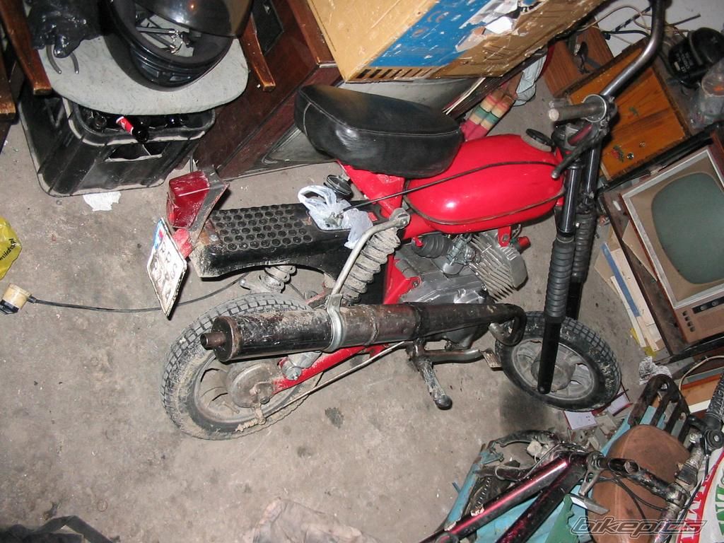 Photo 1560272