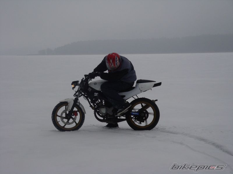 Photo 1560341