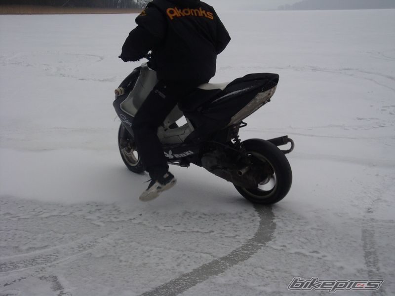 Photo 1560348