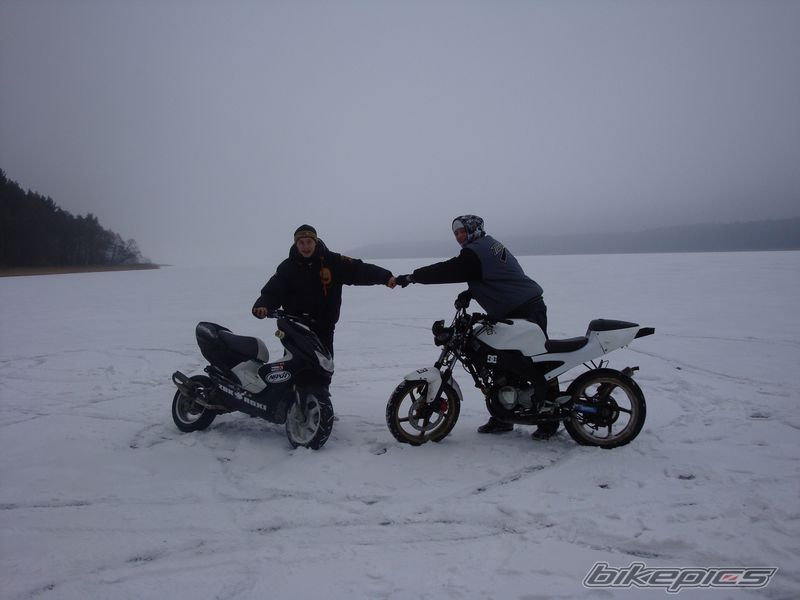 Photo 1560355
