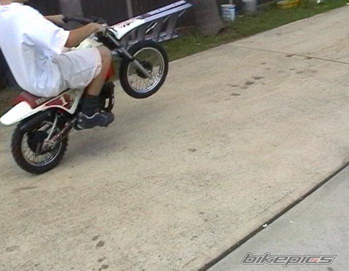 Photo 15604