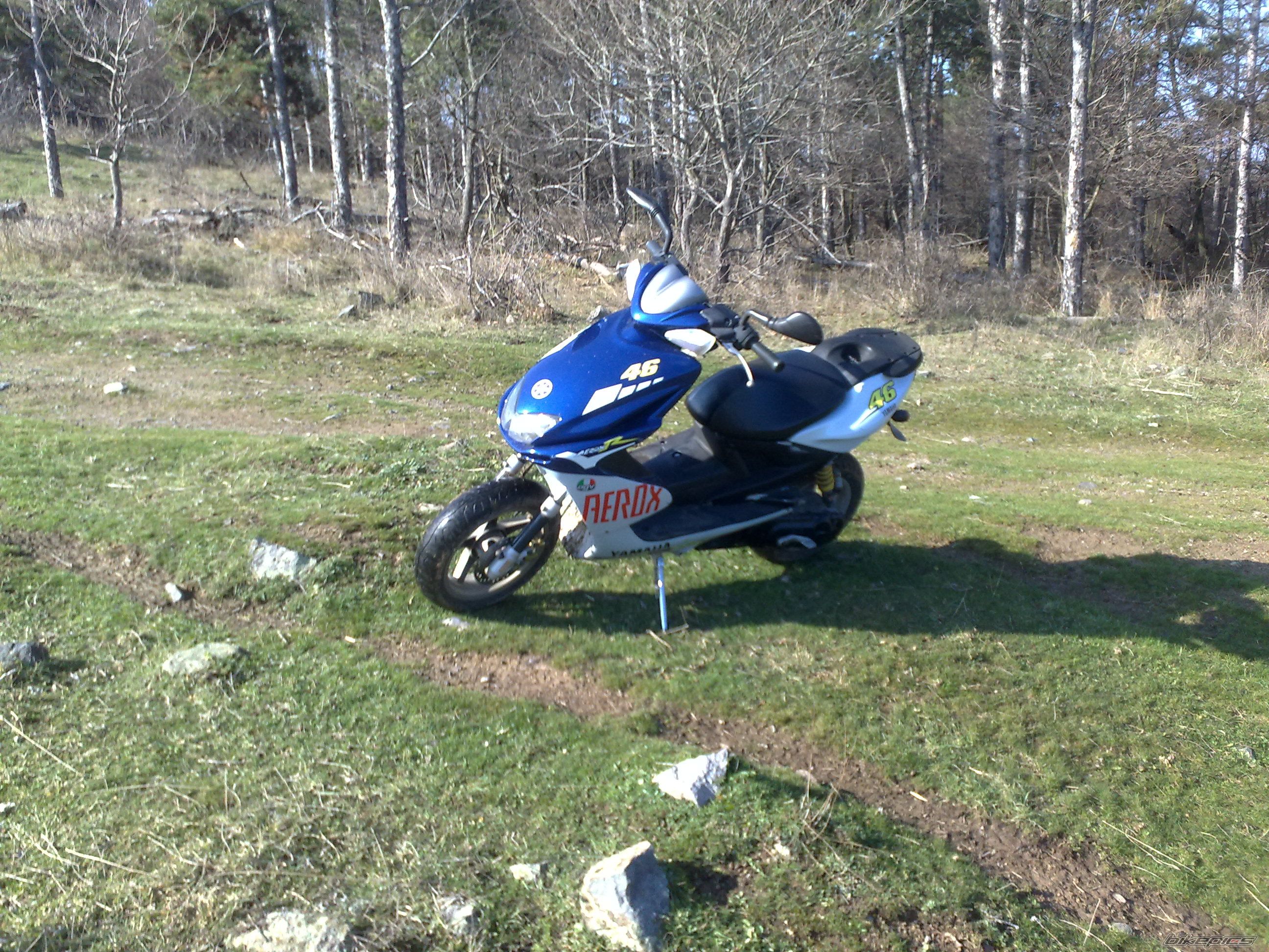 Photo 1560471