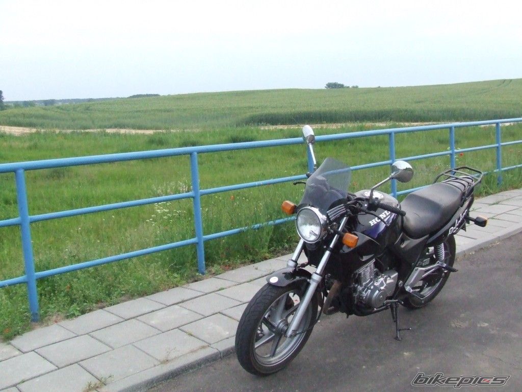 Photo 1560509