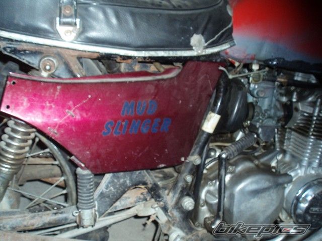 Photo 1560510
