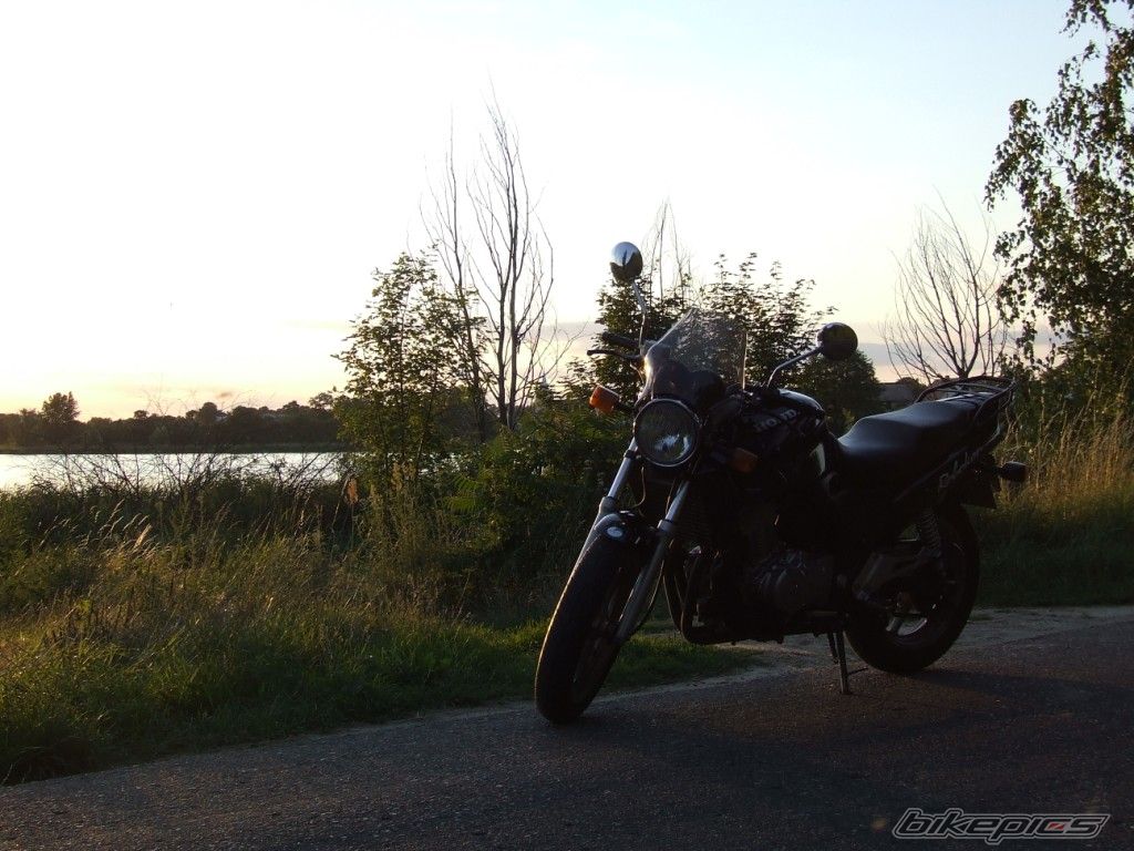 Photo 1560515