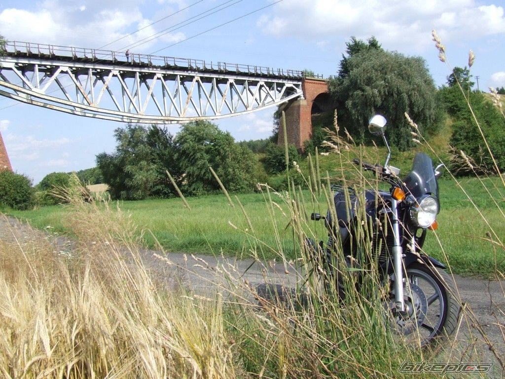 Photo 1560520