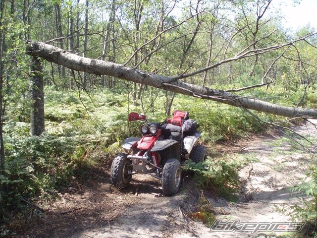 Bike Photo 1560568