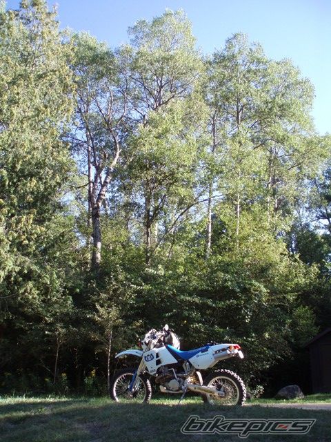Photo 1560600