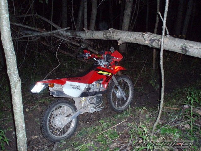 Photo 1560607