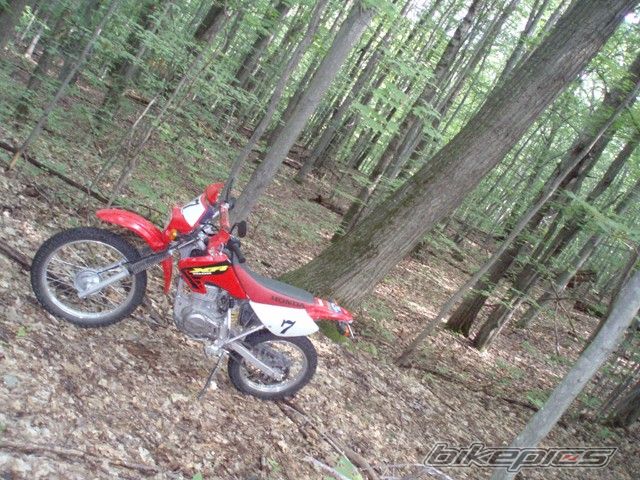 Photo 1560620